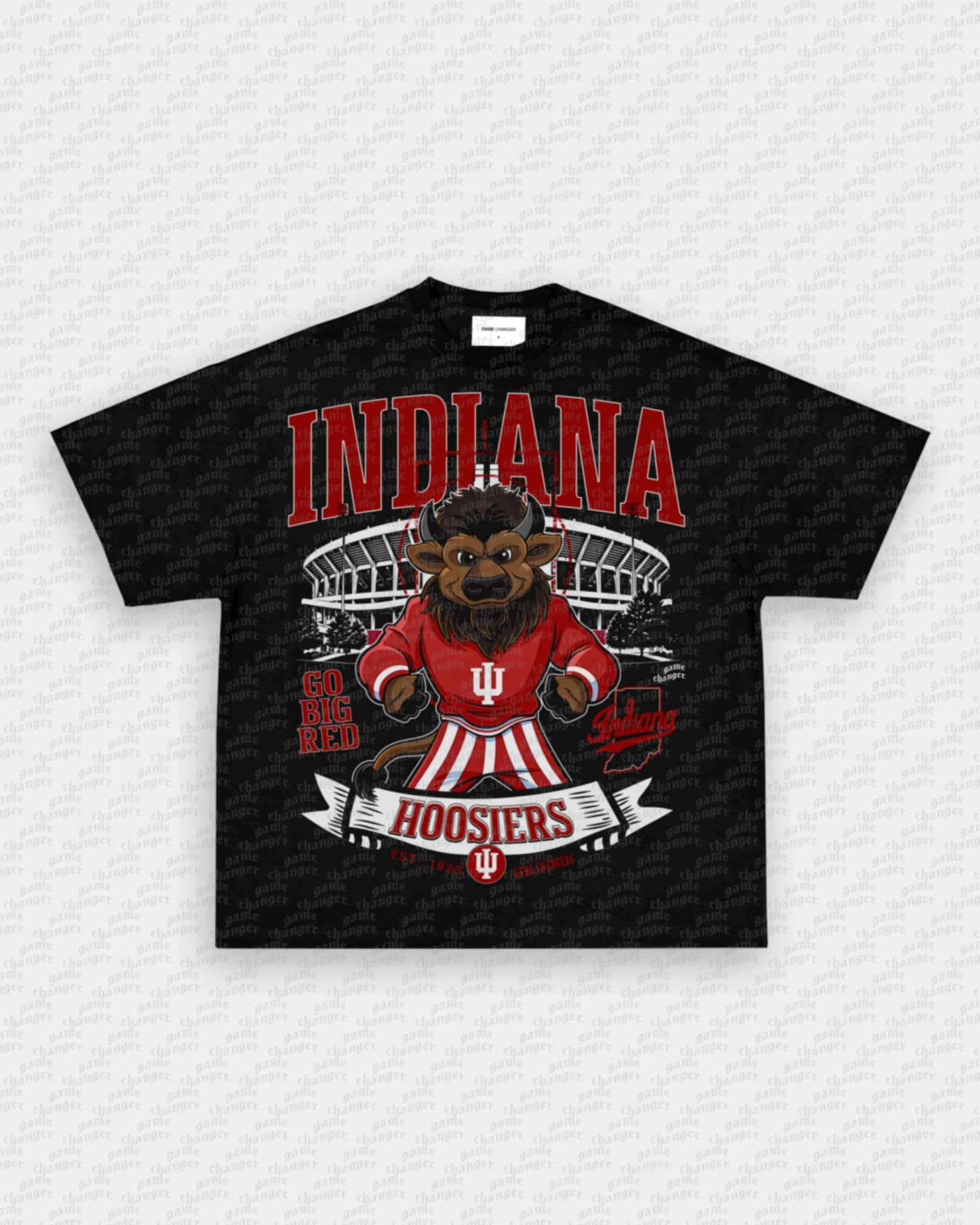 INDIANA FOOTBALL TEE